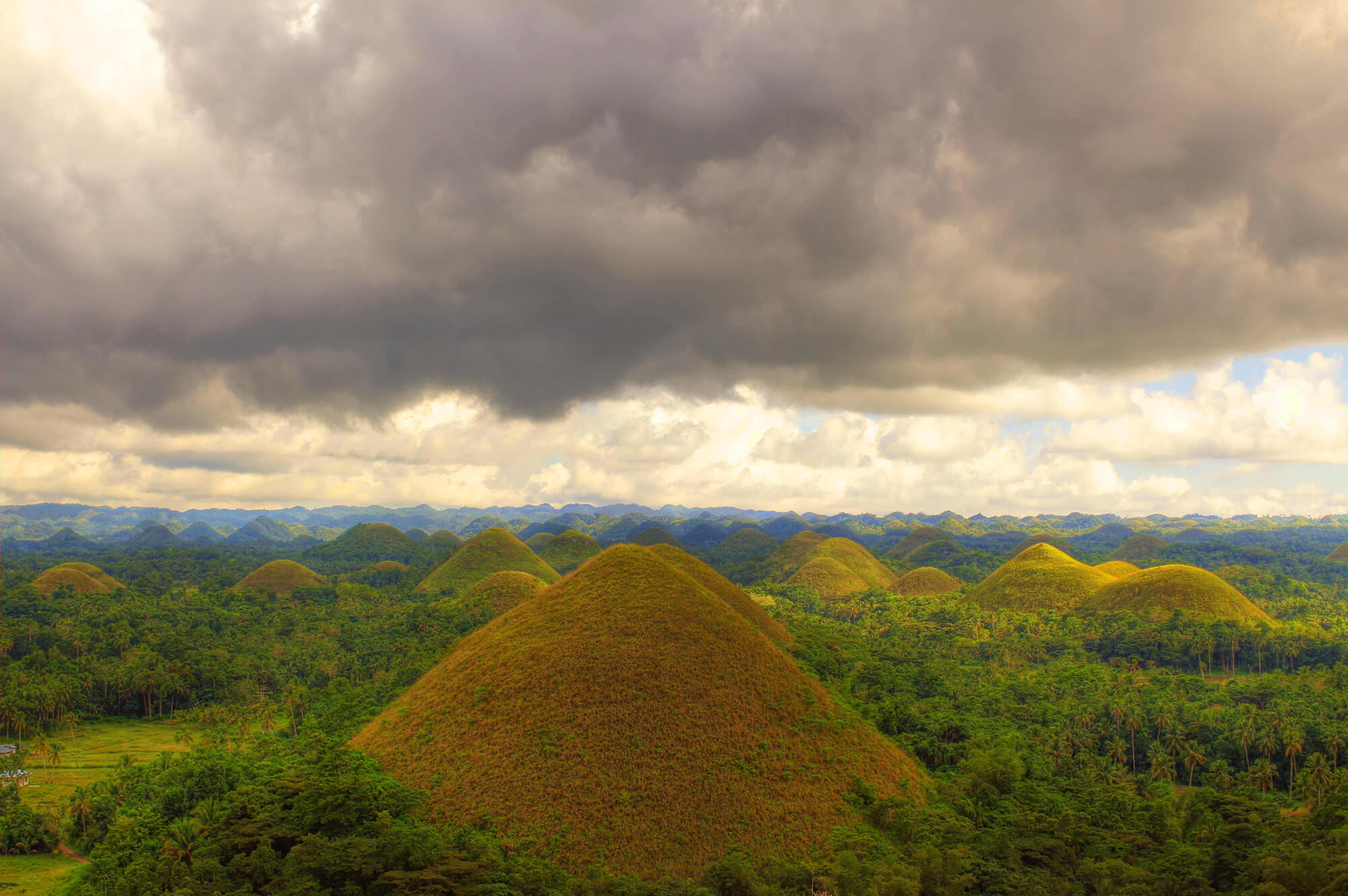 Cebu Bohol Day Tour Chocolate Hills
