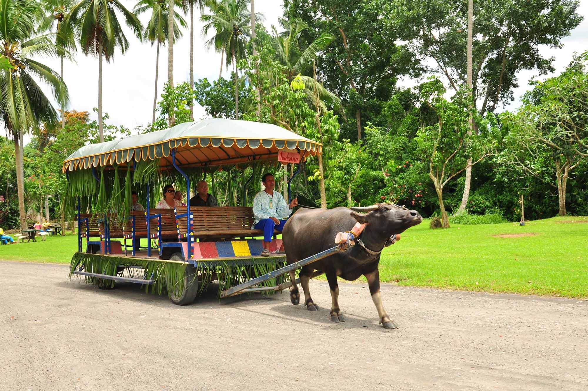 Villa Escudero 04 1